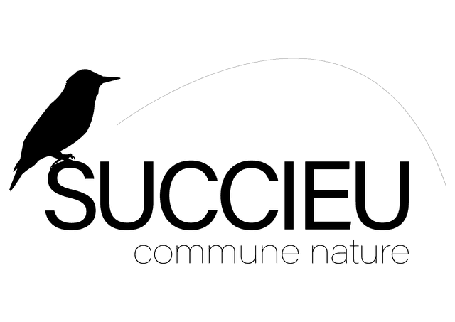 Succieu — commune nature
